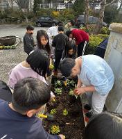 화성 병점초, 봄맞이 '함께 가꾸는 꽃밭' 행사 운영